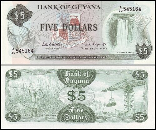 bankbiljetten / 022e / Guyana / 5 Dollars / 1966 / Unc