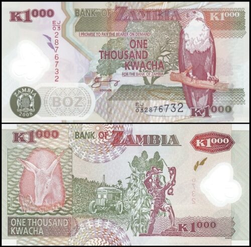 bankbiljetten / 044f / Zambia / 1000 Kwacha / 2008 / Unc / Polymar