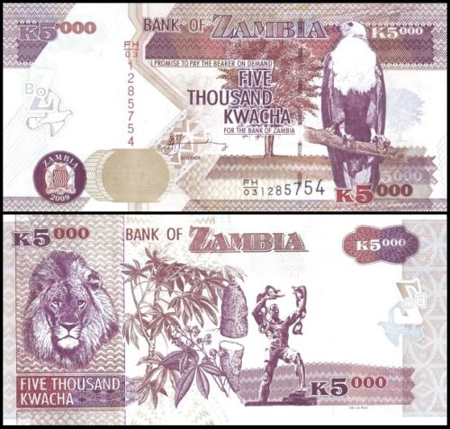 bankbiljetten / 045e / Zambia / 5000 Kwacha / 2009 / Unc