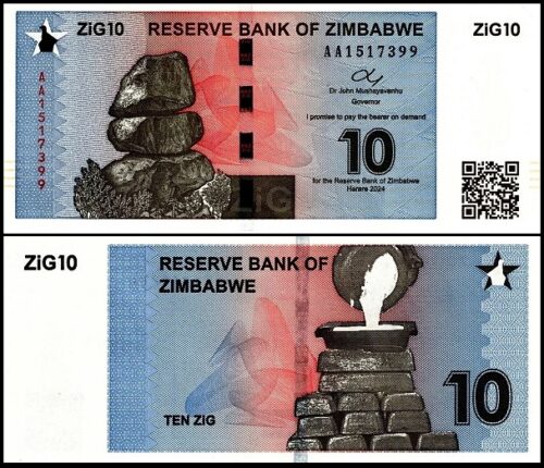 bankbiljetten / 110W / Zimbabwe / 10 ZiG / 2024 / Unc