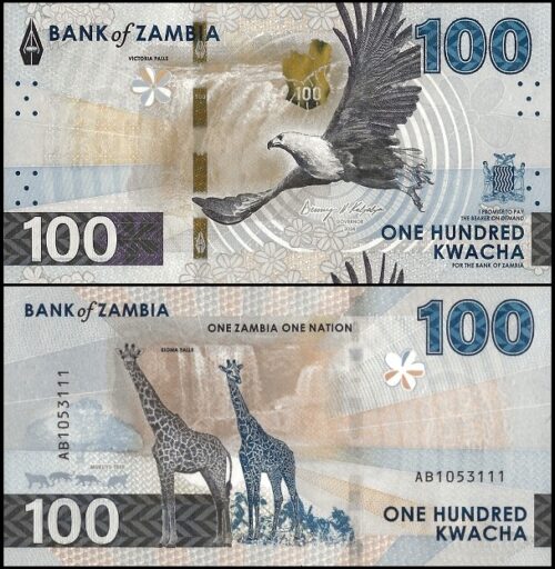 bankbiljetten / 065 / Zambia / 100 Kwacha / 2024 / Unc